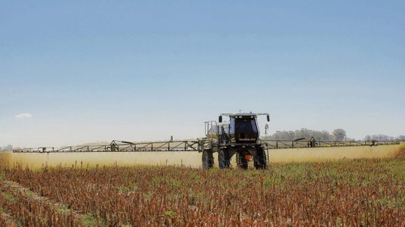Alerta por olor a agroquímicos: tras reiteradas denuncias, iniciaron una investigación en la región