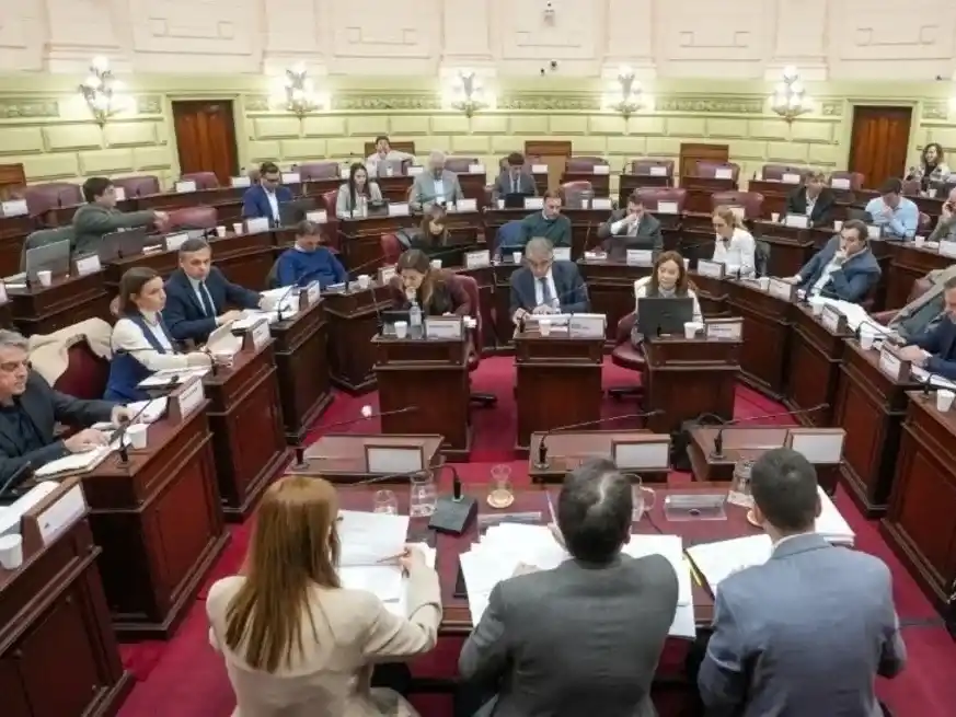 La propuesta ingresó este martes ante la Comisión Redactora.