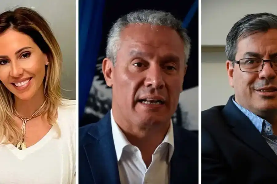 La Libertad Avanza fue la lista más votada en la categoría Diputados
