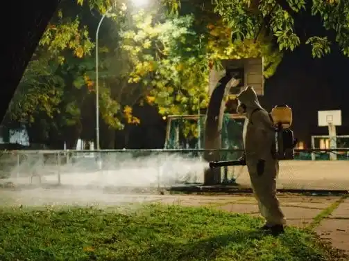 Esta madrugada comenzarán a fumigar en la zona donde se detectaron huevos del mosquito que contagia el dengue.