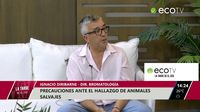Precauciones ante el hallazgo de animales