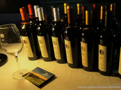 Los Aromitos celebra un logro histórico: medalla de oro internacional para su Tannat 2023