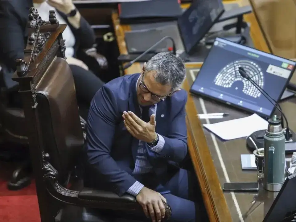 Martín Menem, presidente de la Cámara de Diputados.