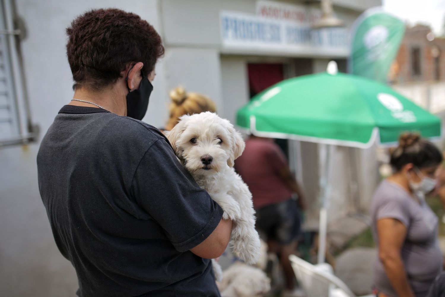 La Municipalidad continúa con la campaña de castración de animales