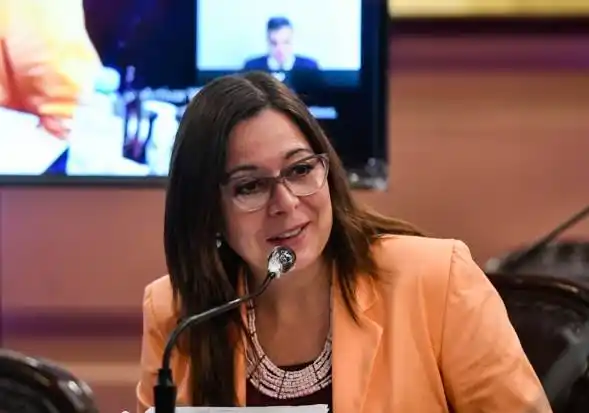 Mariana Farfán destacó la reglamentación de la Ley de Electrodependientes