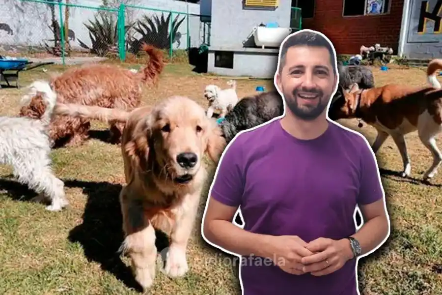 Avance en la creación de la Guardia Urbana de Animales: "Con la intención de cuidar la salud de los animales"