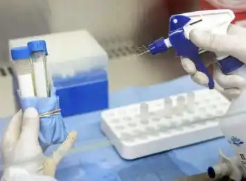 La cepa del Reino Unido llegó al país