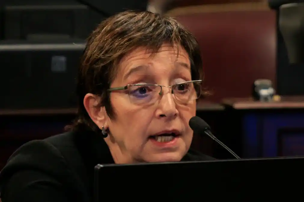 Causa Alperovich: denunciaron a la senadora Mirkin por supuesto “encubrimiento”