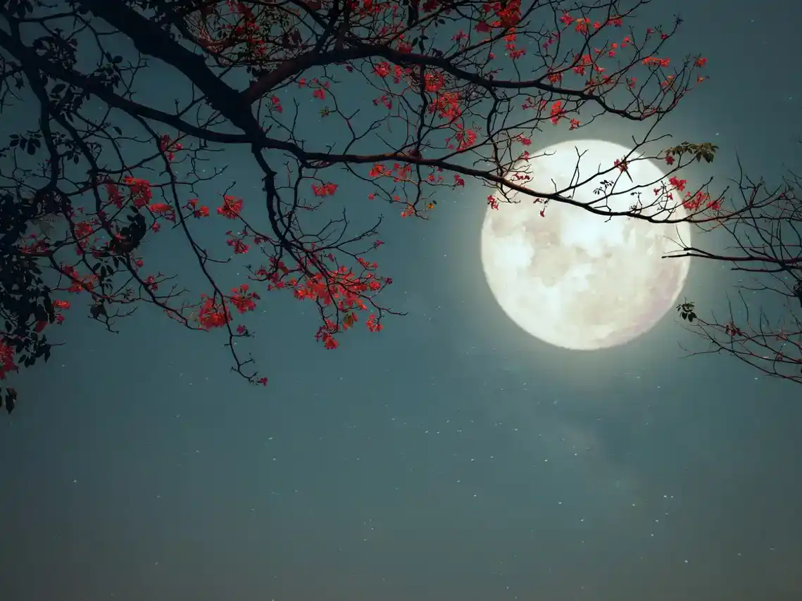 Luna de las Flores: a qué hora y dónde observar la Luna llena de este lunes