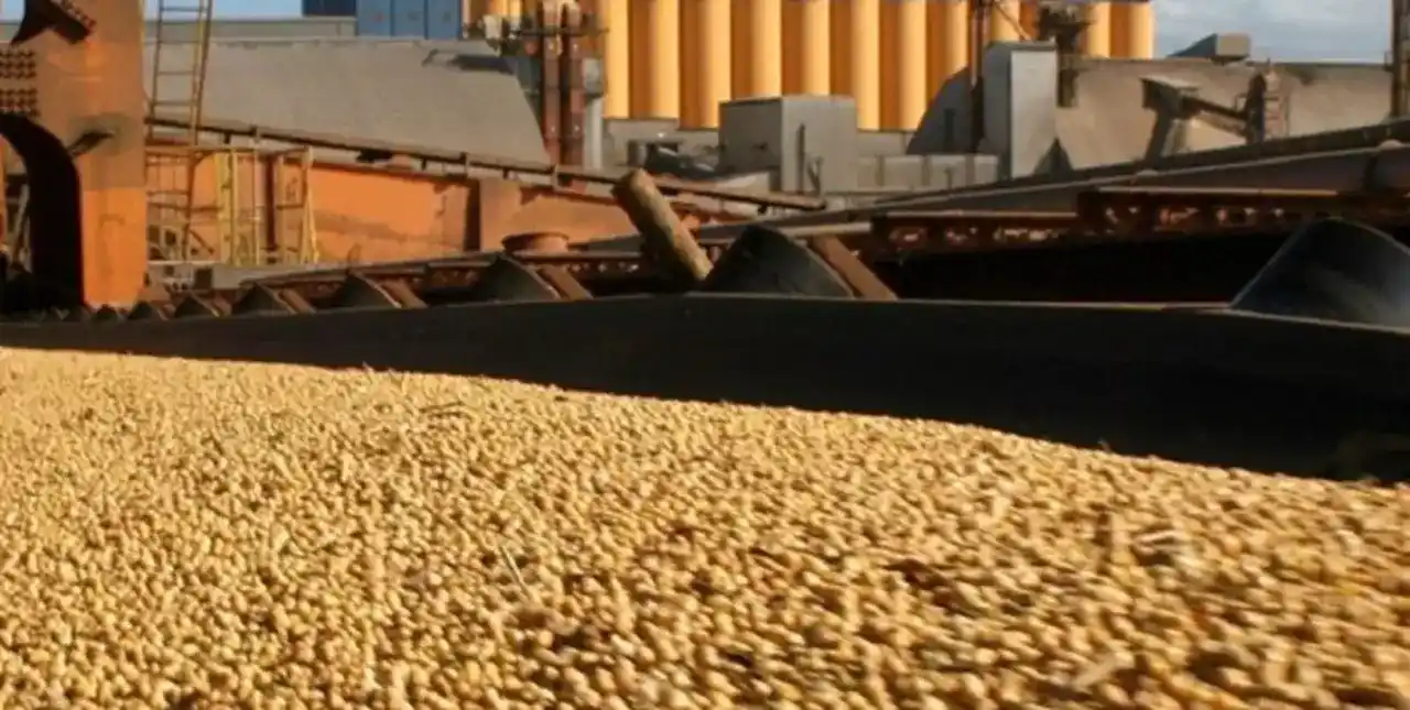 Rumor paralizante: Pymes de biodiesel no consiguen aceite por la indefinición del “dólar soja”