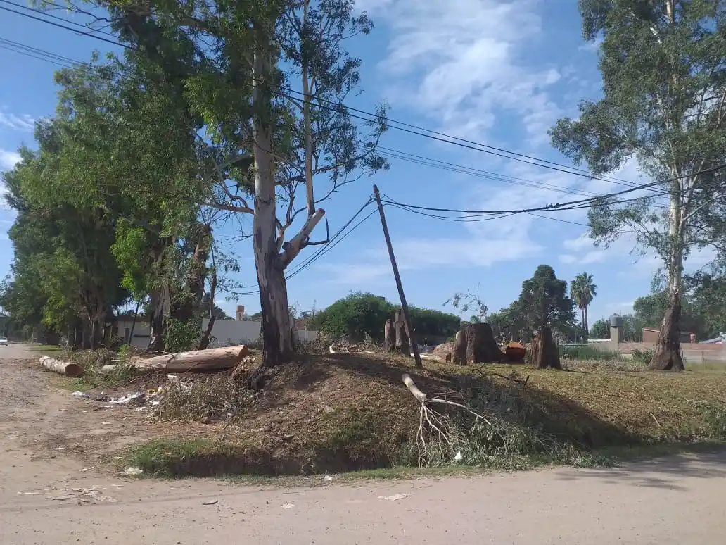 Prisión preventiva sin plazo para el acusado de estafa por venta de terrenos en Venado Tuerto
