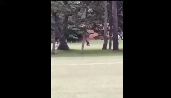 Identificaron a los presuntos agresores del golf de Pinamar y les impusieron una prohibición de acercamiento