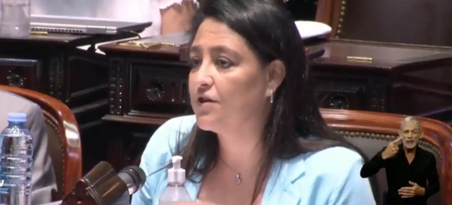 Diputada del PRO cruzó a Sergio Massa en plena sesión