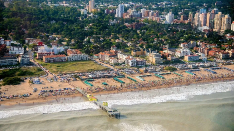 Pinamar: “Cada árbol que se tira para hacer edificios es reemplazado por 3 que pasan al banco forestal”, dijo Yeza