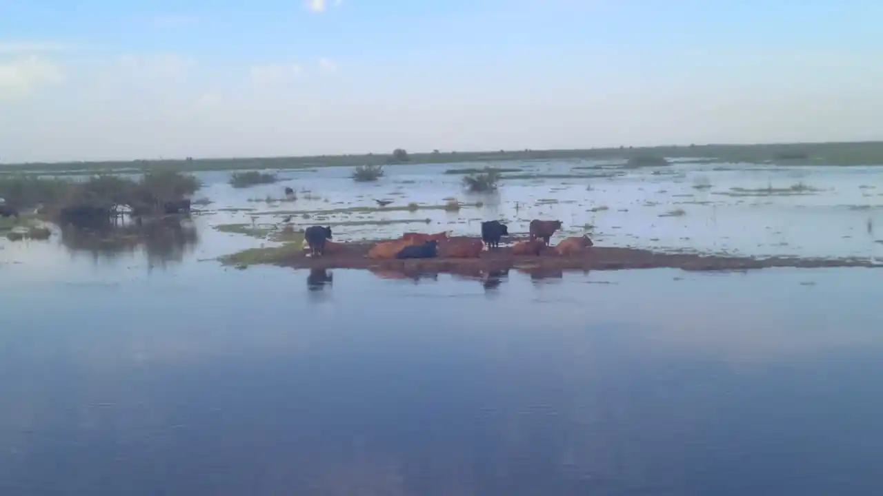 vuelta del sur creciente