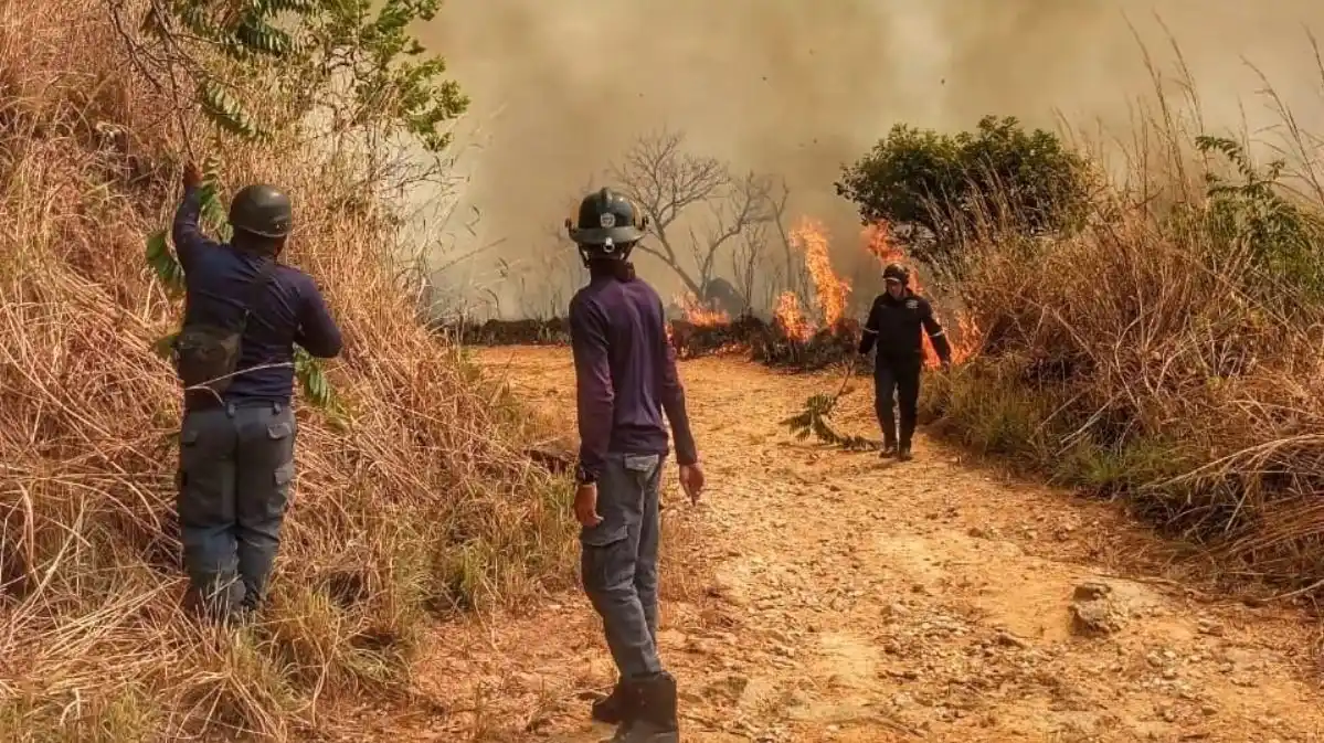 Bomberos rescataron a 21 senderistas amenazados por las llamas en cerro del estado Carabobo