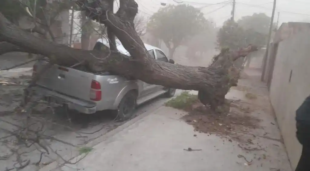 Temporal en San Luis: graves daños por vientos de más de 120 kilómetros por hora