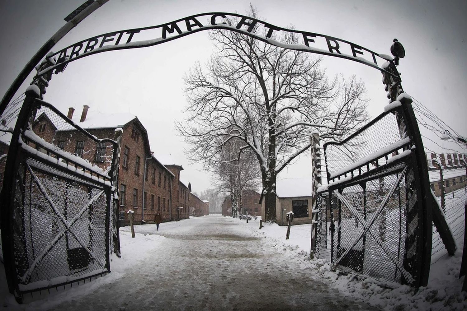 Líderes y sobrevivientes evocaron el 80° aniversario de la liberación de Auschwitz