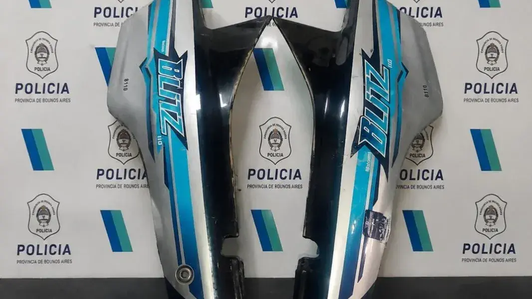 Los elementos recuperados