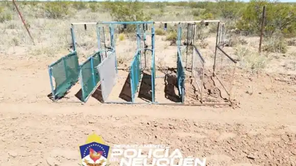 Neuquén: organizaban carreras de galgos en Cutral Co y ahora deberán pagar 170 mil pesos