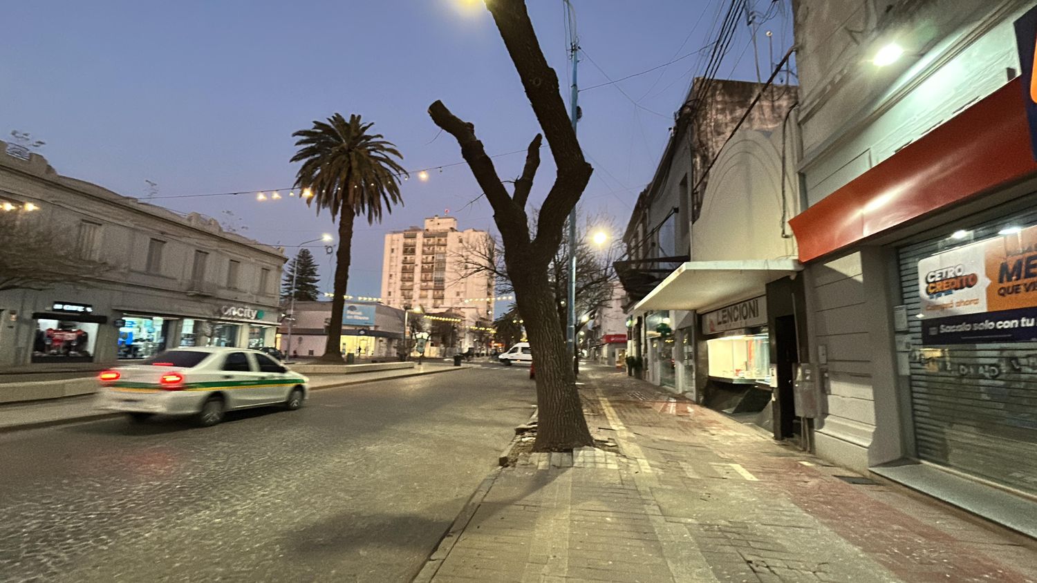Por la extracciòn de un arbol se cortarà la circulaciòn en Avenida Santa Fe al 400