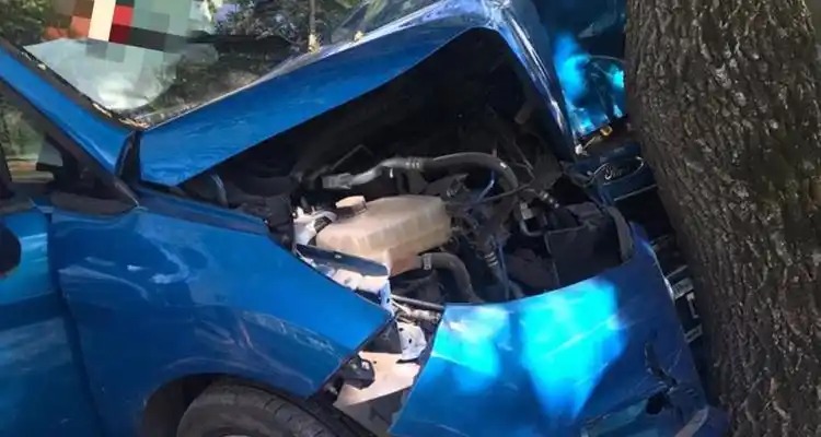 Adulto de 79 años permanece en terapia intensiva del Hospital tras chocar su auto contra un árbol en la costanera