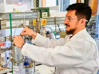 De residuo a recurso: científicos del Conicet logran transformar yerba mate usada en bioaceite