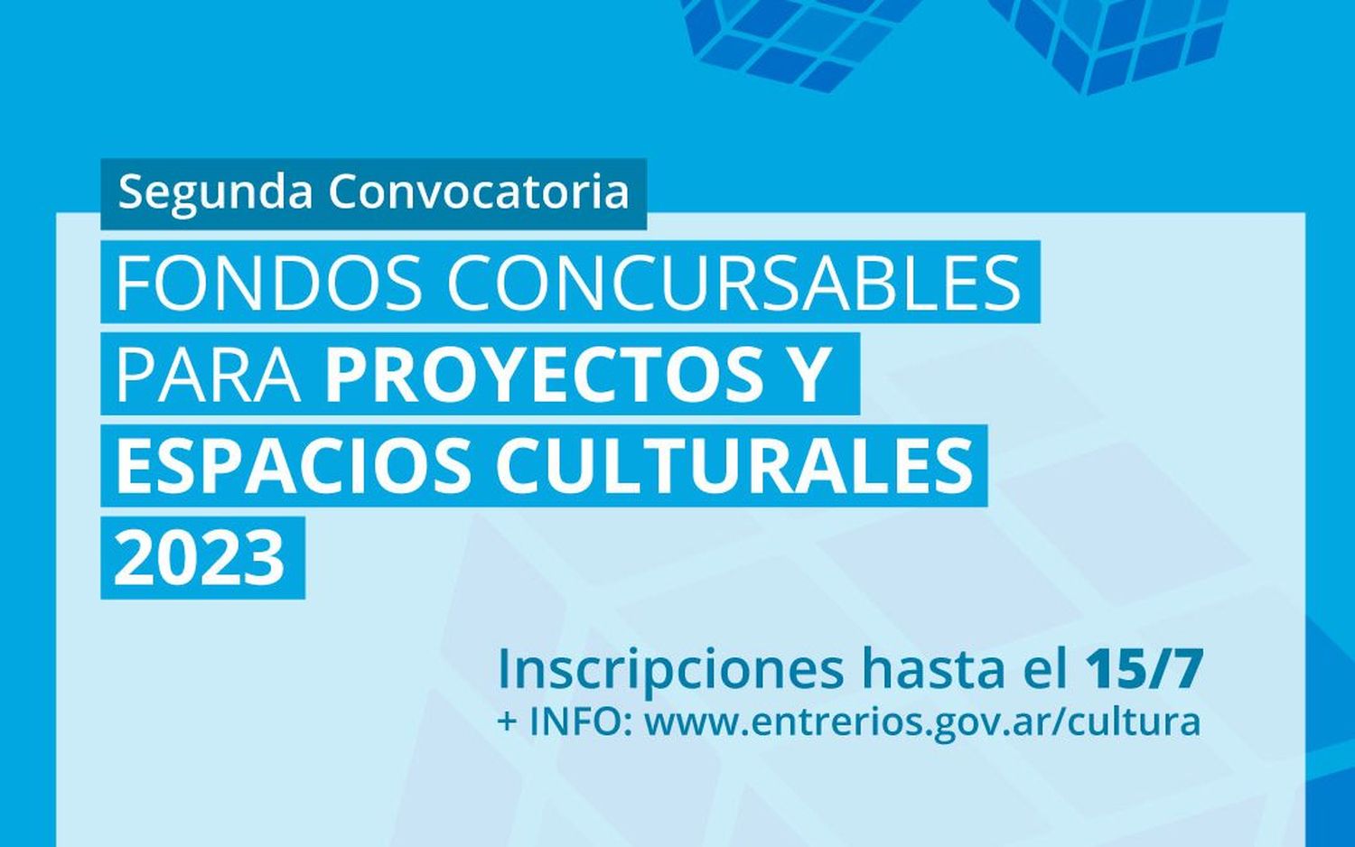 PROGRAMA FONDOS CONCURSABLES