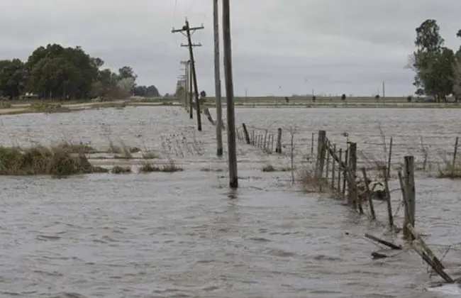 Emergencia y desastre agropecuario para 13 municipios