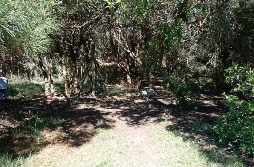 Un grupo de voluntarios limpiaban un predio y encontraron un cráneo