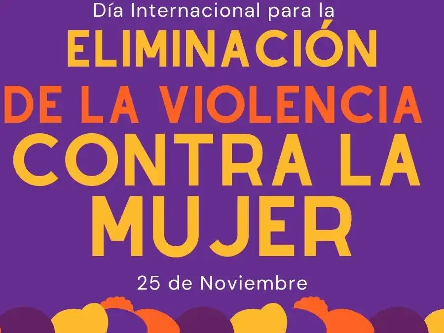 25 N