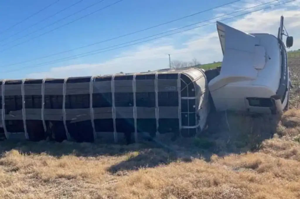 Accidente fatal: un camión y un auto chocaron de frente en Amenábar