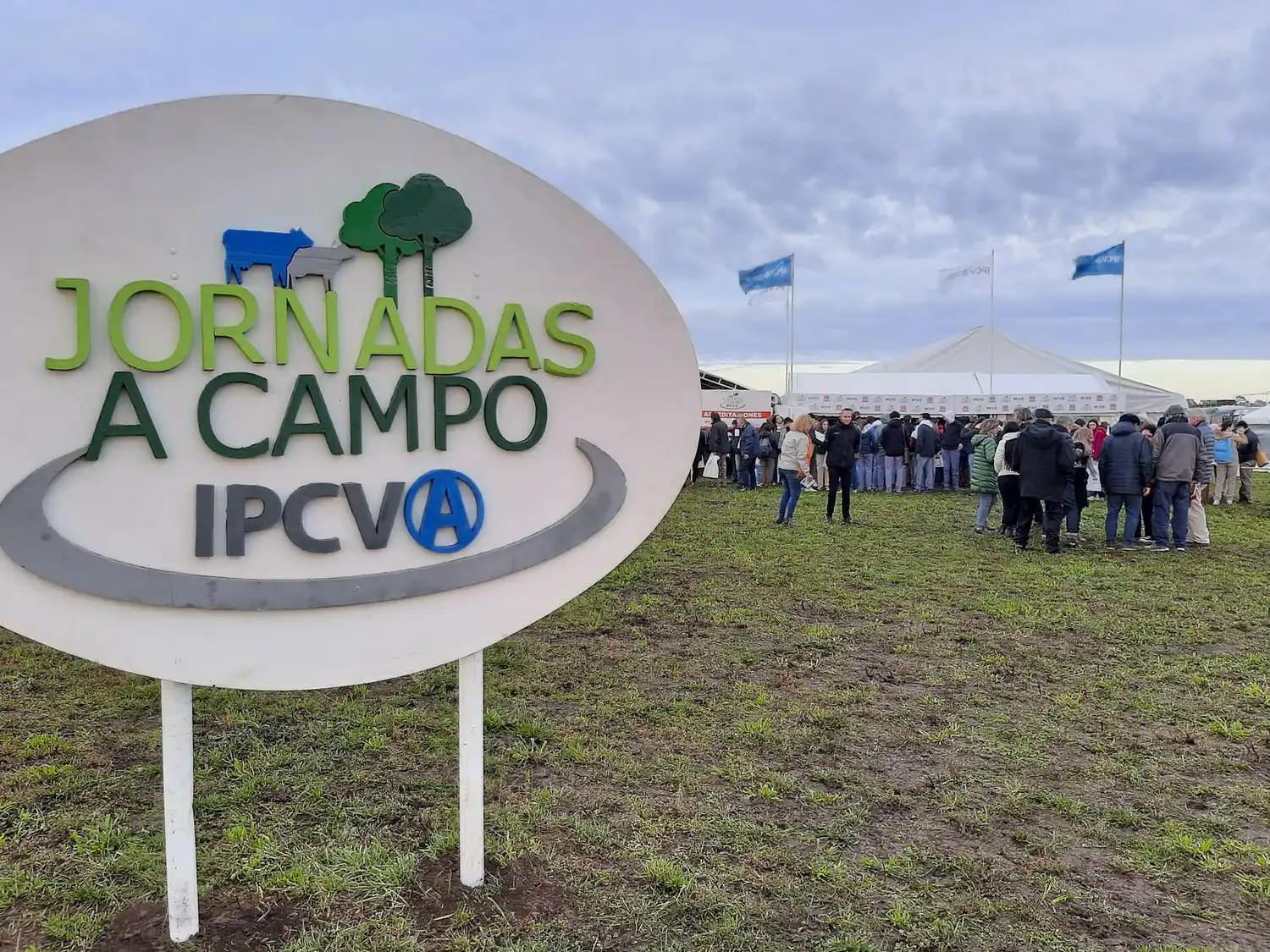 En Tres Arroyos, la ganadería y la agricultura hacen La Paz
