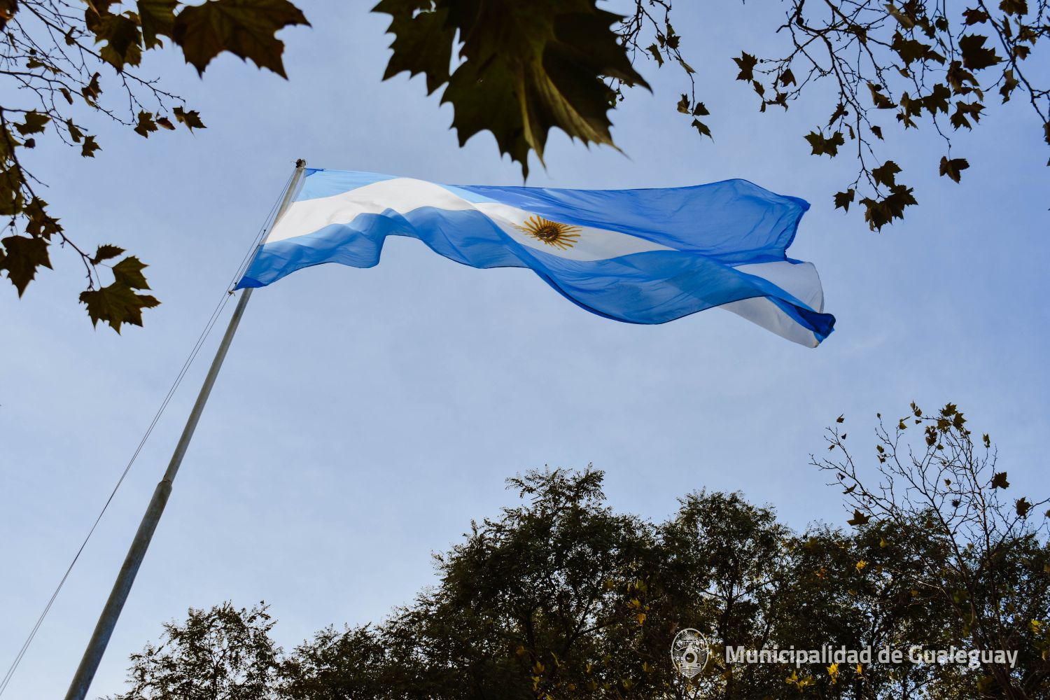 ¡Salve, Bandera de mi Patria!