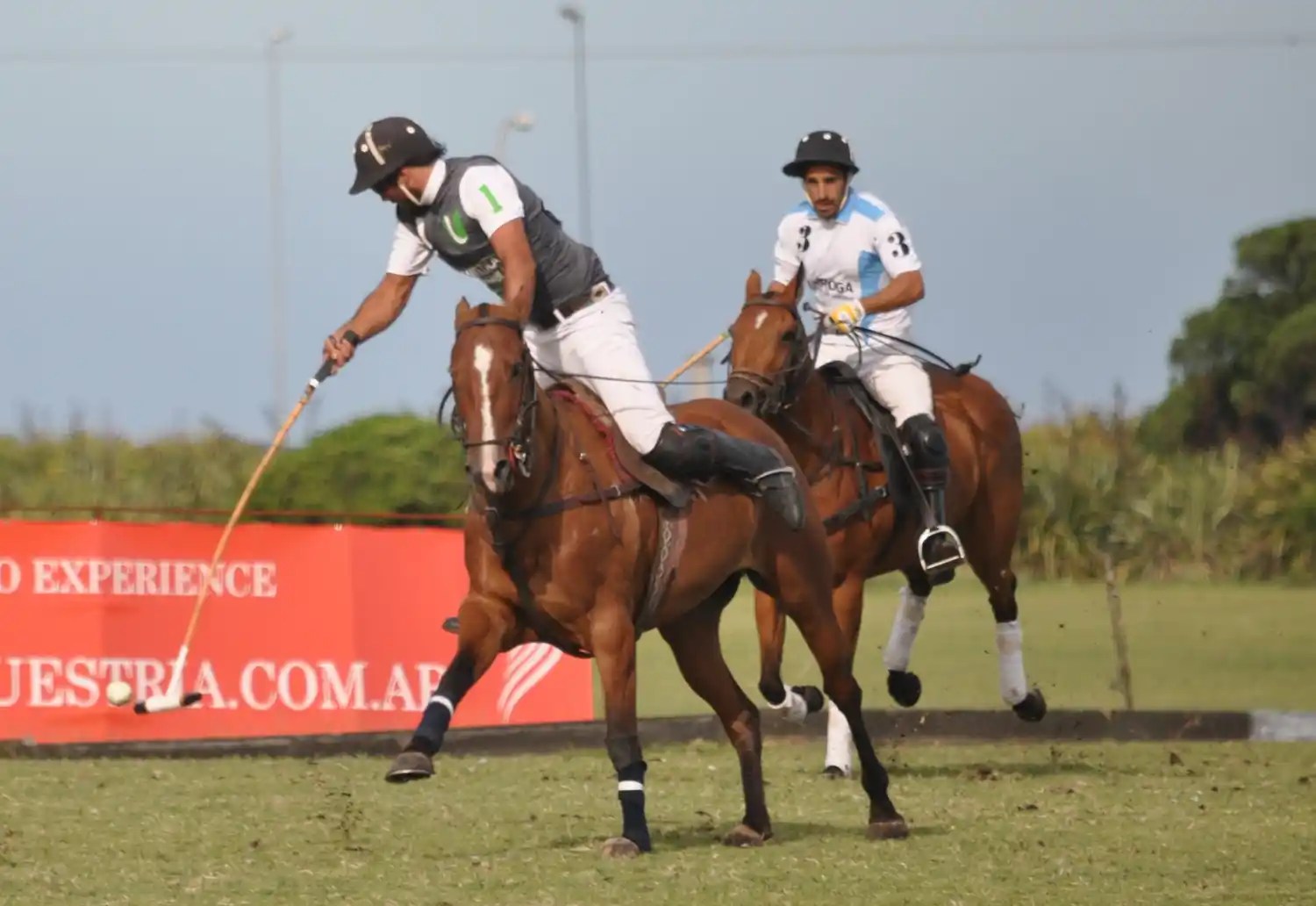 El Abierto de la temporada