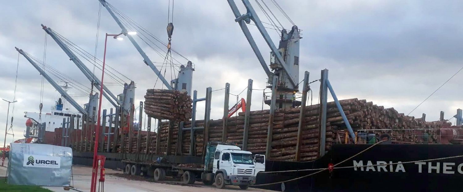 Los puertos entrerrianos capacitan a su personal y suman nuevas exportaciones