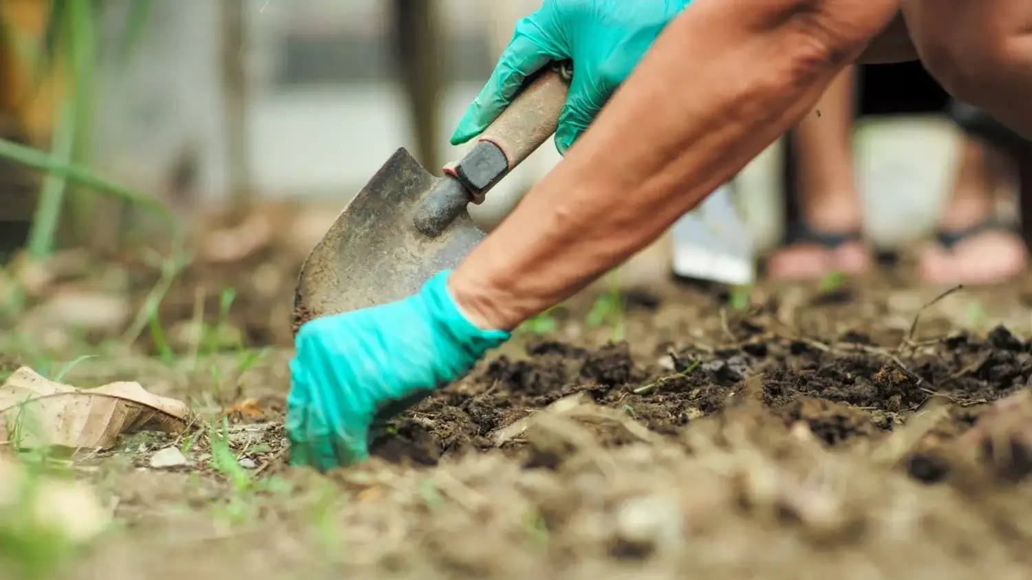 La Escuela Municipal de Jardinería y Agroecología abre nuevas capacitaciones gratuitas - 1
