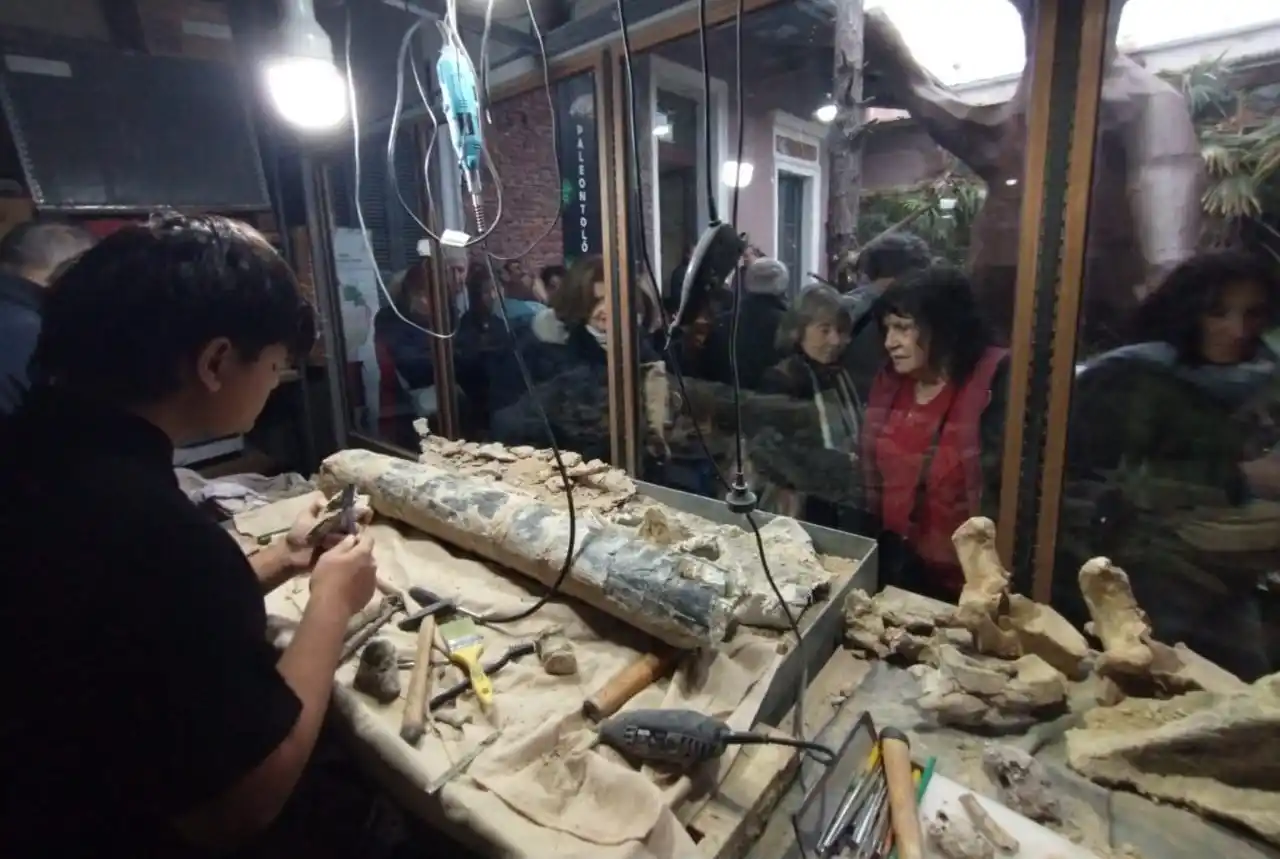 El Museo Paleontológico recuerda sus horarios oficiales para febrero