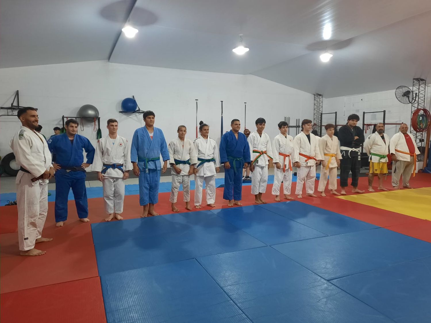 judo