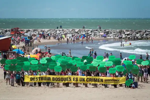 Greenpeace protestó en Mar del Plata en defensa de los bosques