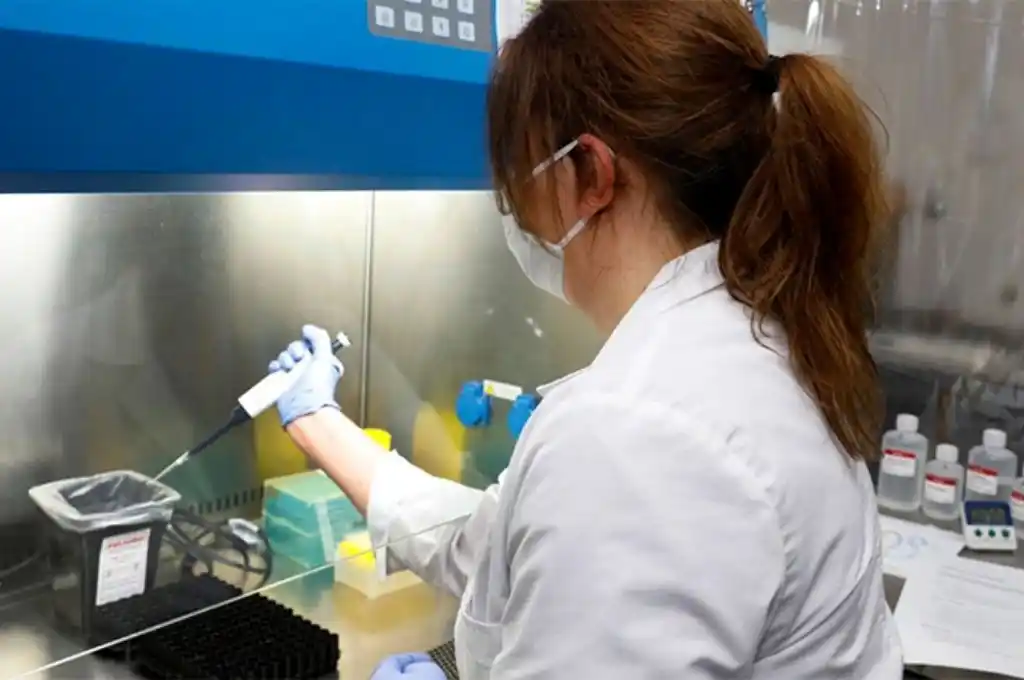 Se suman 36 nuevos casos de Covid 19 en Entre Ríos: 30 en Paraná