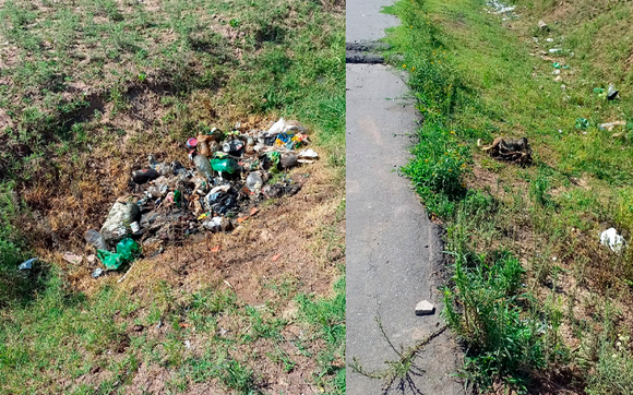 Perros muertos y basura