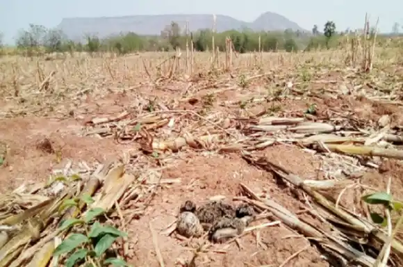 Impacto económico en Entre Ríos