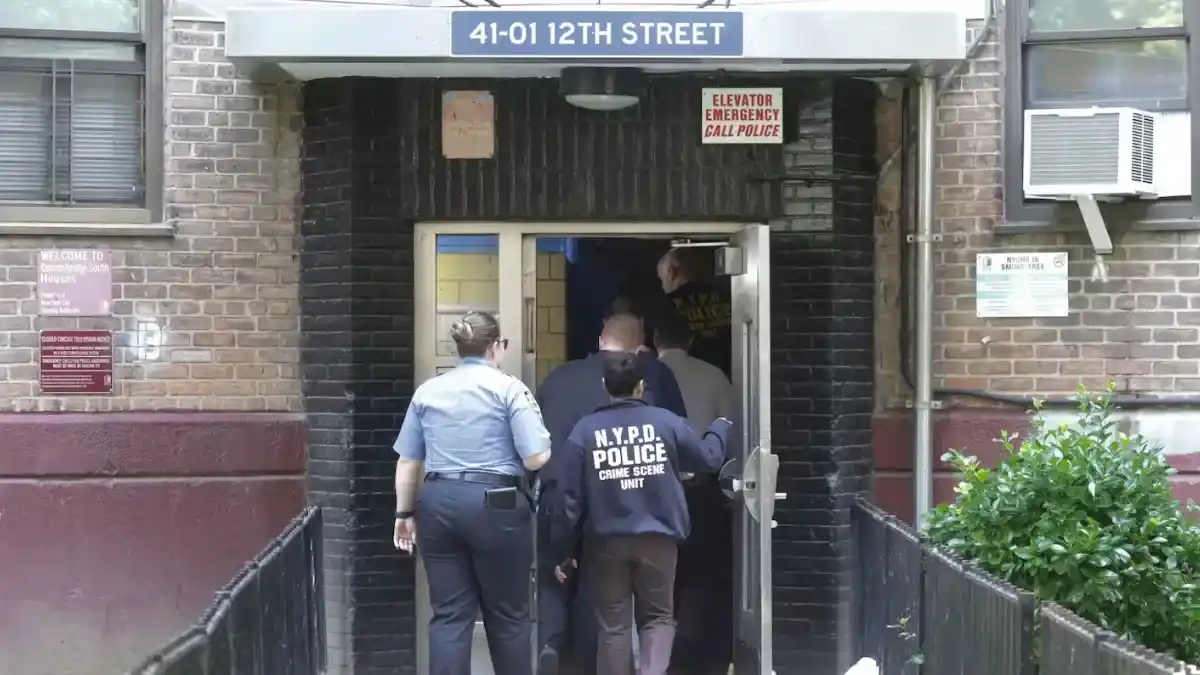 ataque perro nueva york - 2