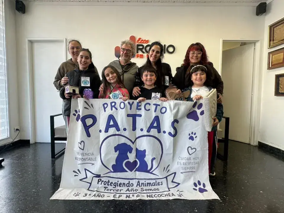 Proyecto Patas: Alumnos de la Escuela Nº 6 construyeron cuchas comunitarias y elementos para perros callejeros