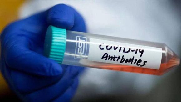 Descubren anticuerpos humanos que bloquean el coronavirus en las células
