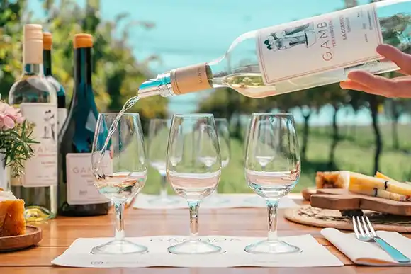 Cómo visitar la bodega más cercana a CABA: Cuánto sale un espectacular almuerzo con un paseo guiado por el viñedo