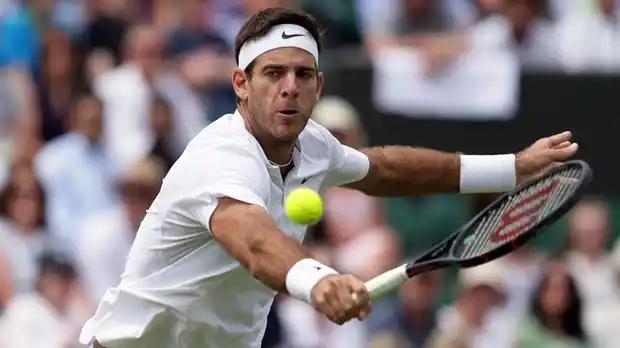 Juan Martín del Potro debutó con un triunfo en Wimbledon