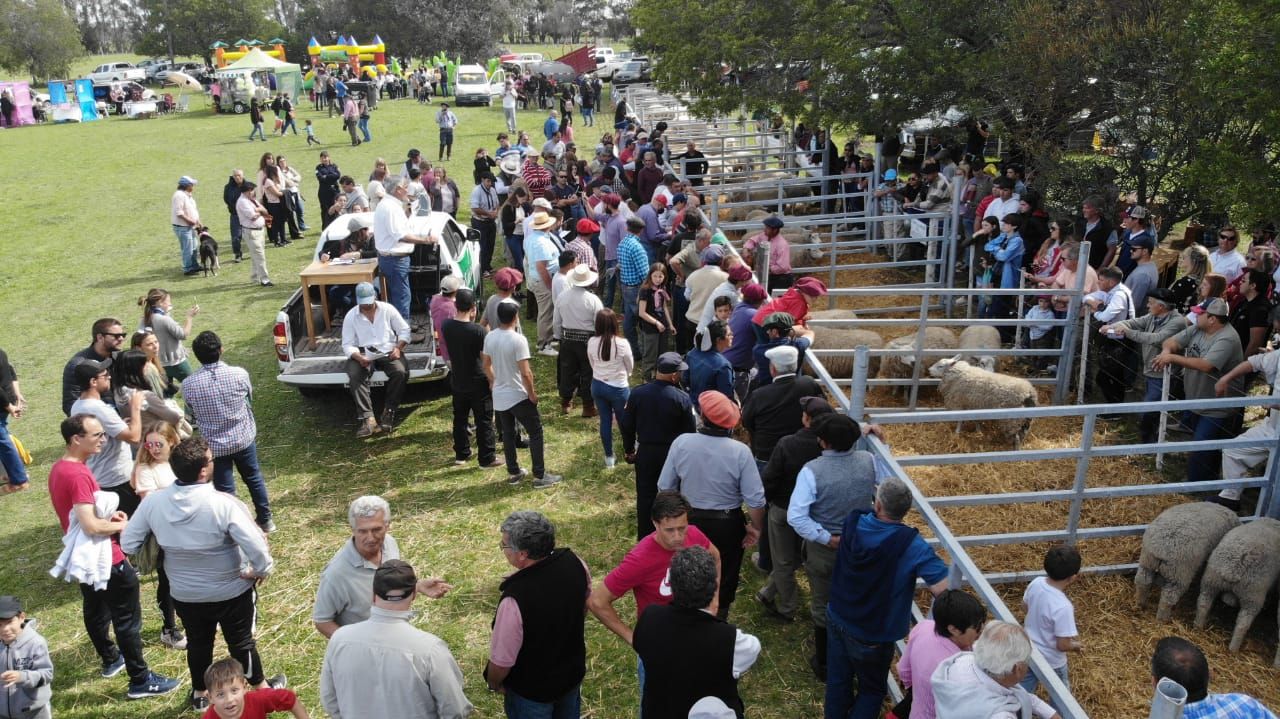 Un fin de semana a pura oveja en San Cayetano