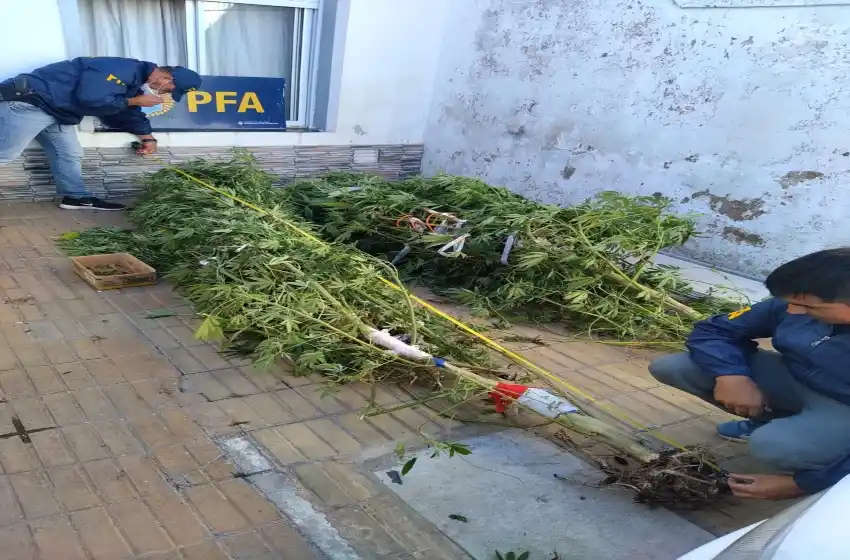 Importante operativo de la Policía Federal en Olavarría